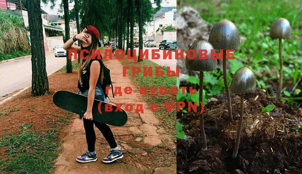 каннабис Майский