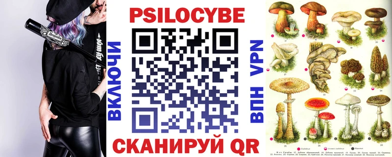 где купить наркотик  Балашиха  Галлюциногенные грибы Psilocybine cubensis 