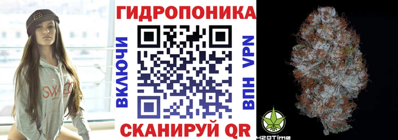 Бошки марихуана ГИДРОПОН  Балашиха 